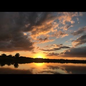 Meet your Posher, Morgan